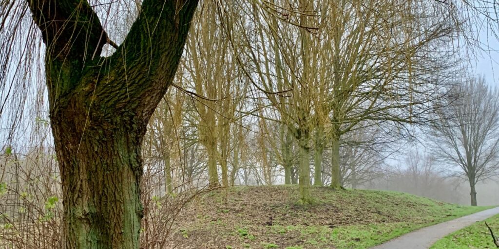 Zonnepanelen en thuisbatterij in de winter